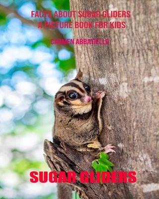 Book cover for Facts About Sugar gliders A Picture Book For Kids