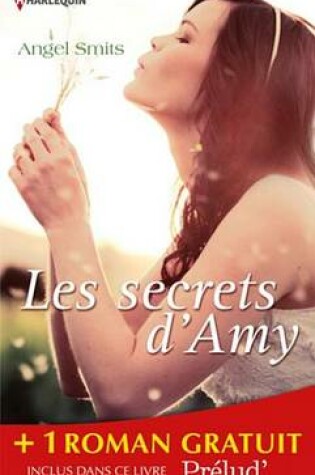 Cover of Les Secrets D'Amy - Les Lumieres de Noel