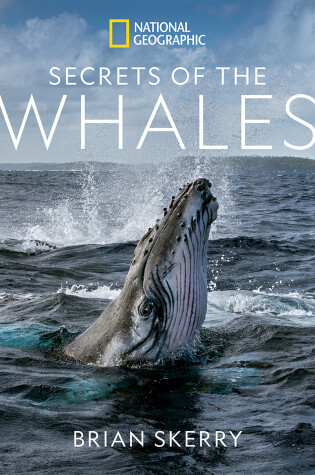 Cover of Secrets of the Whales