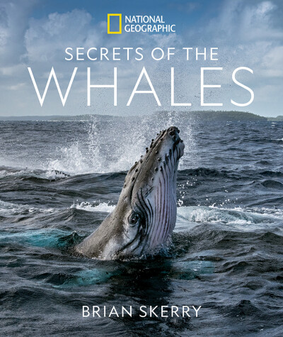 Book cover for Secrets of the Whales