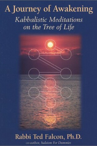 Cover of A Journey of Awakening