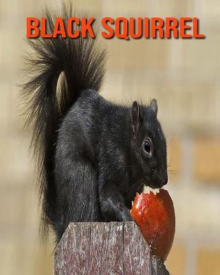 Book cover for Black Squirrel