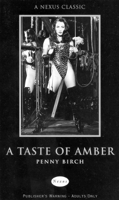 Book cover for A Taste of Amber