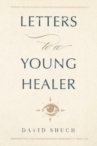 Cover of Letters to a Young Healer