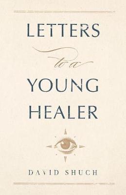 Book cover for Letters to a Young Healer