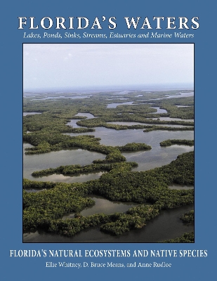 Book cover for Florida's Waters