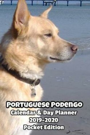 Cover of Portuguese Podengo Calendar & Day Planner 2019-2020 Pocket Edition