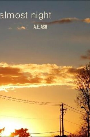 Cover of Almost Night