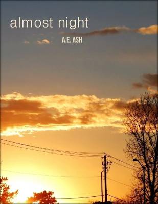 Book cover for Almost Night