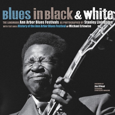 Book cover for Blues in Black and White