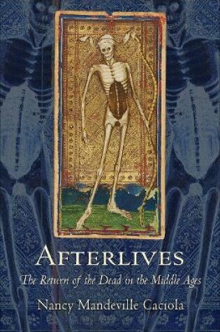 Cover of Afterlives