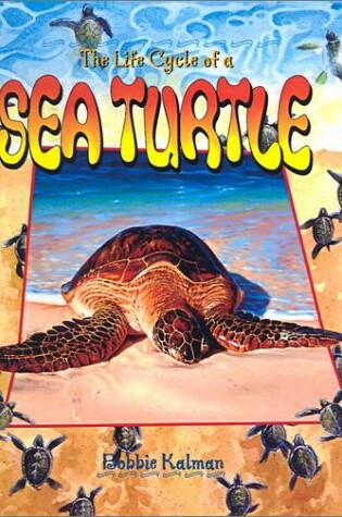 Cover of Sea Turtle