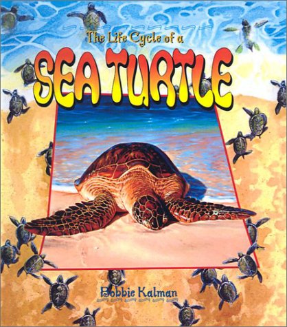 Book cover for Sea Turtle