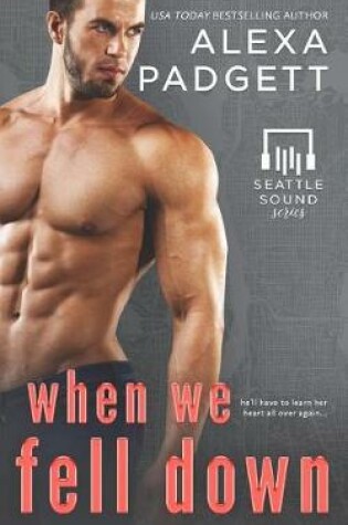 Cover of When We Fell Down