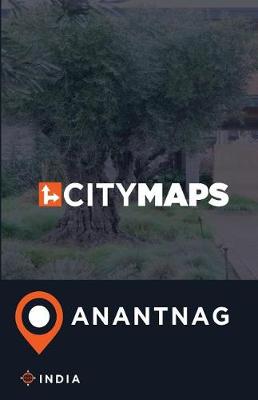 Book cover for City Maps Anantnag India