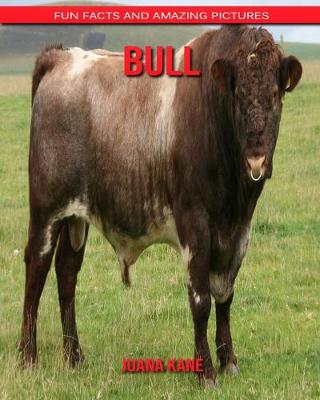 Book cover for Bull