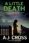 Book cover for A Little Death