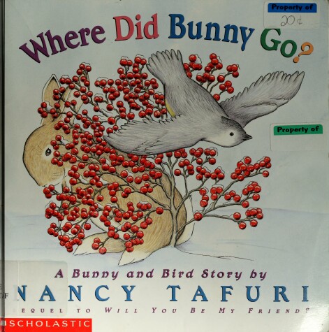 Book cover for Where Did Bunny Go?