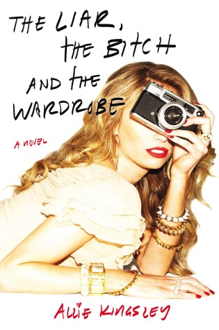 Cover of The Liar, the Bitch and the Wardrobe