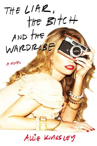 Book cover for The Liar, the Bitch and the Wardrobe