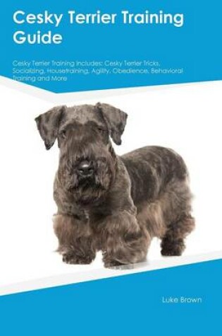 Cover of Cesky Terrier Training Guide Cesky Terrier Training Includes