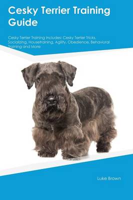 Book cover for Cesky Terrier Training Guide Cesky Terrier Training Includes