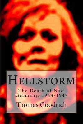 Book cover for Hellstorm