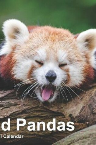 Cover of Red Pandas