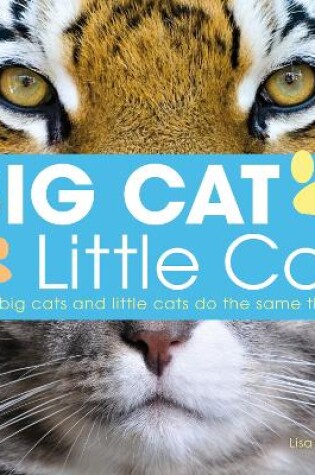 Cover of Big Cat, Little Cat