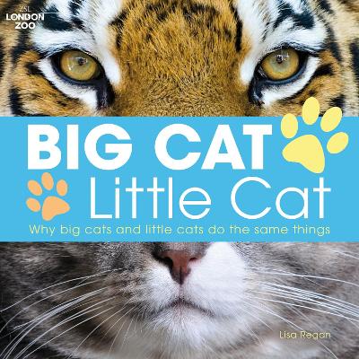 Book cover for Big Cat, Little Cat