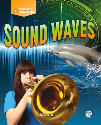 Book cover for Sound Waves