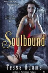 Book cover for Soulbound