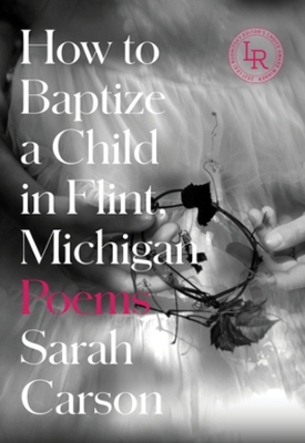 Book cover for How to Baptize a Child in Flint, Michigan