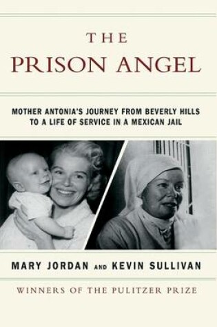 Cover of The Prison Angel