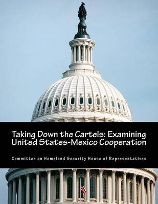 Book cover for Taking Down the Cartels