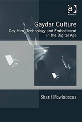 Book cover for Gaydar Culture