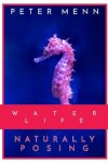 Book cover for Water Life