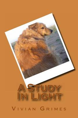 Book cover for A Study In Light