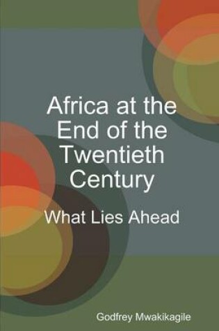 Cover of Africa at the End of the Twentieth Century