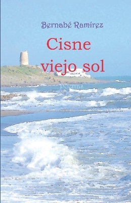 Book cover for Cisne viejo sol