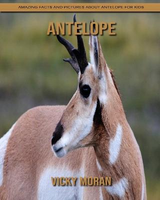 Book cover for Antelope