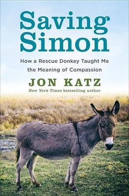 Book cover for Saving Simon