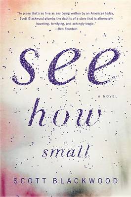 Book cover for See How Small