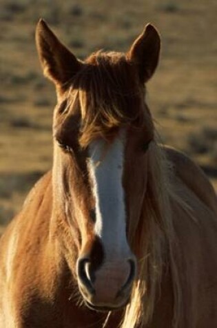 Cover of 2020 Daily Planner Horse Photo Equine Horse Western Background 388 Pages