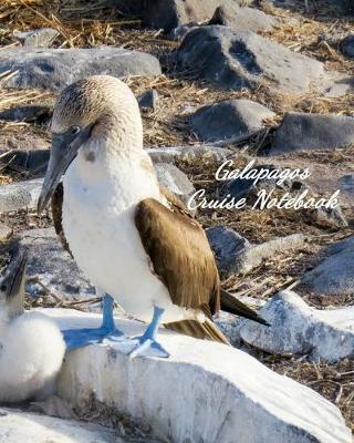 Book cover for Galapagos Cruise Notebook