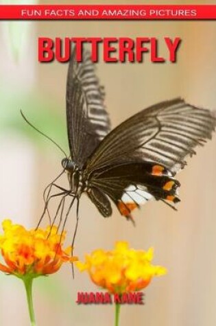 Cover of Butterfly