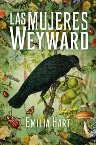 Cover of Mujeres Weyward, Las