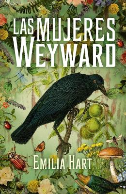 Book cover for Mujeres Weyward, Las