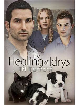 Book cover for The Healing of Idrys