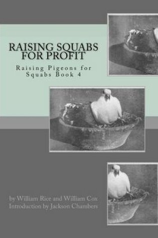 Cover of Raising Squabs for Profit